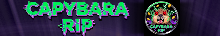 Banner 1